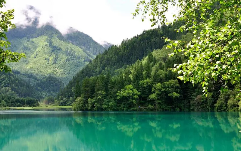 自动化独特